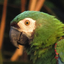 J4's profile picture